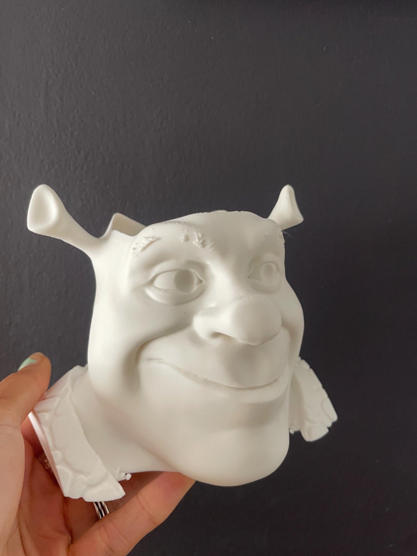 Shrek Planter: Ogre Pot with Drainage - Small or Large
