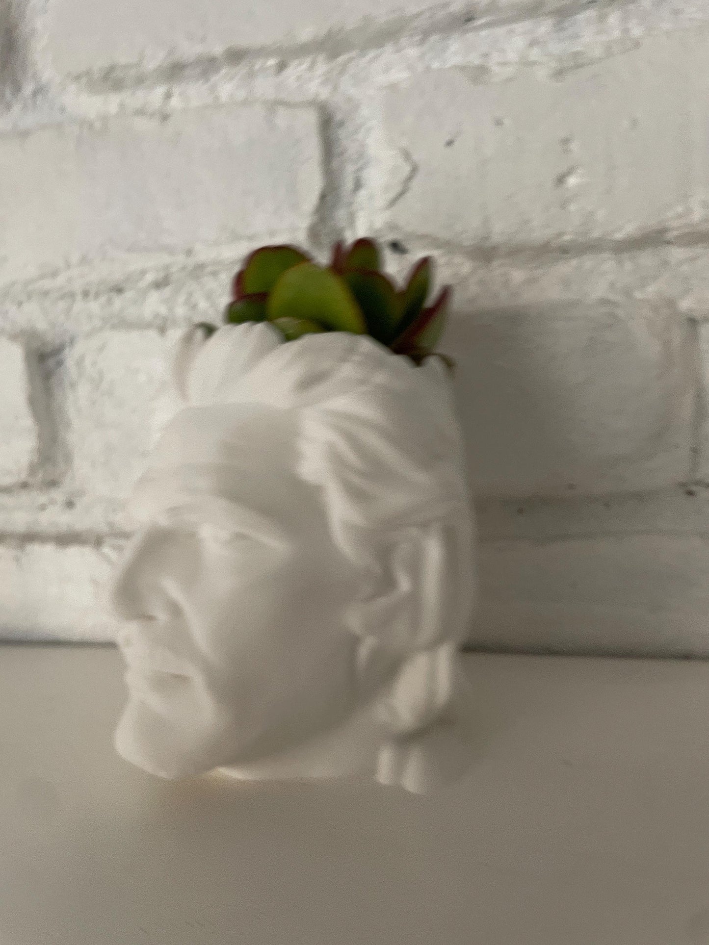 Pedro Pascal Planter