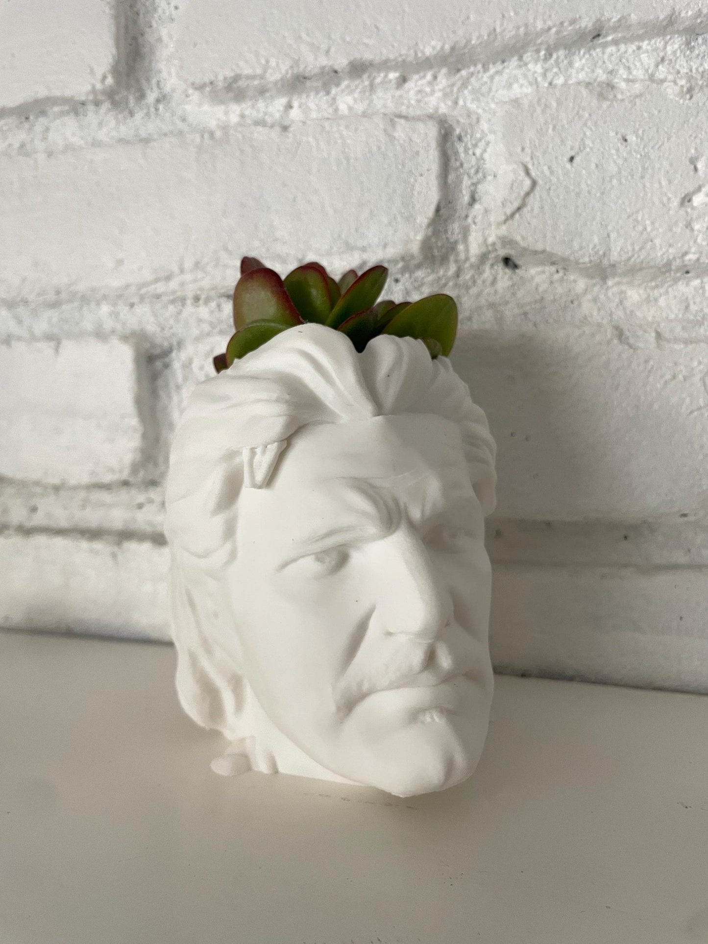 Pedro Pascal Planter