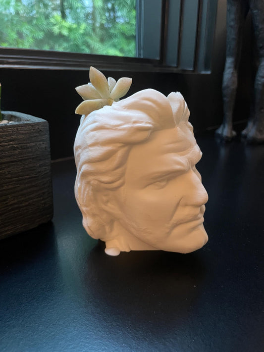 Pedro Pascal Planter