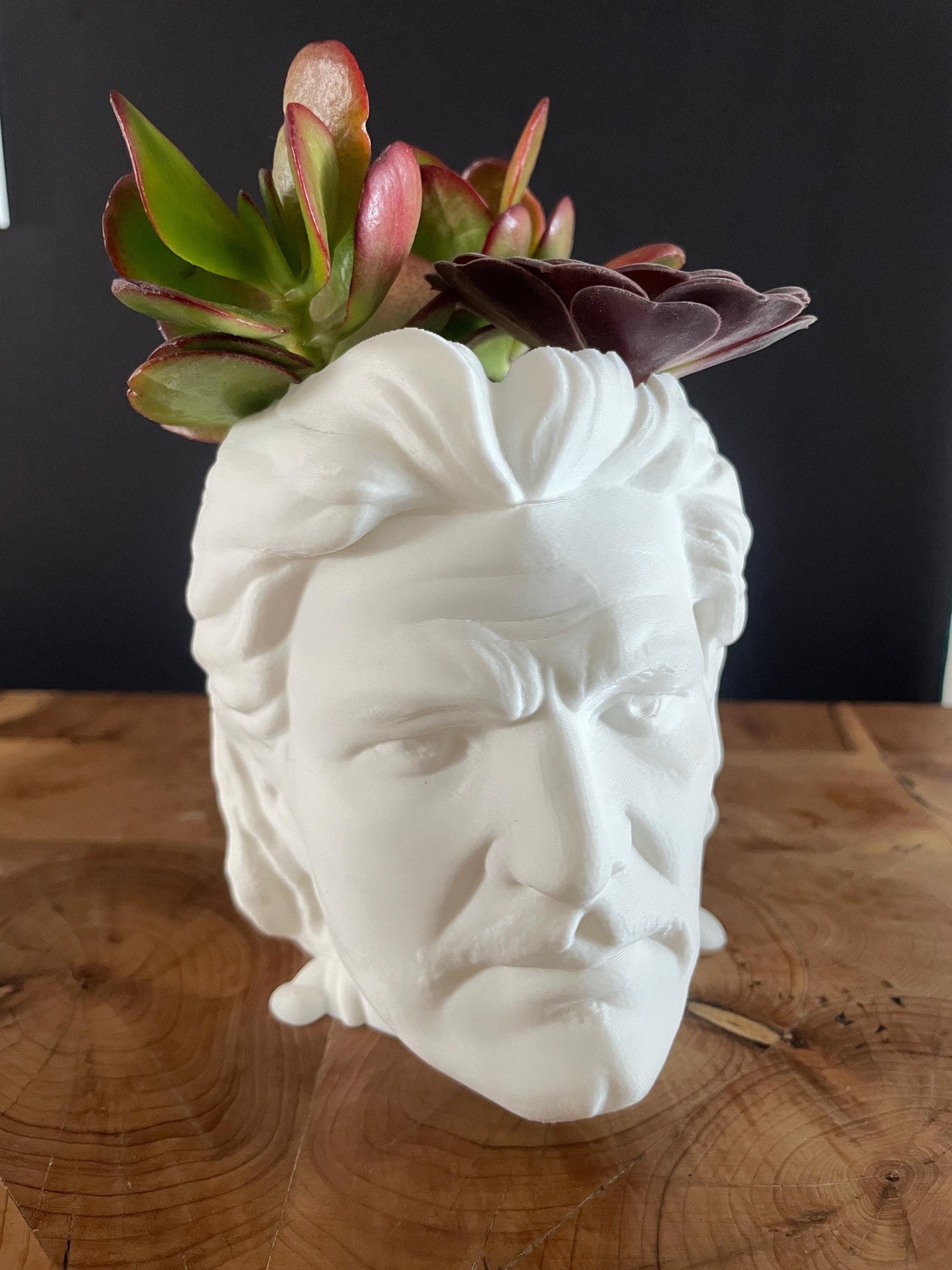 Pedro Pascal Planter