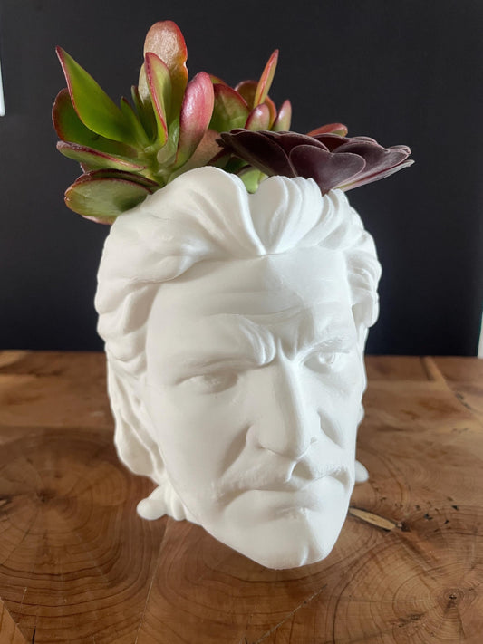 Pedro Pascal Planter